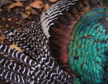 wta_752_DSC00306 (2)