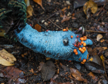 wta_752_DSC00308 (2)