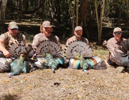 wta_752_IMG_20250319_105251696_HDR (2)