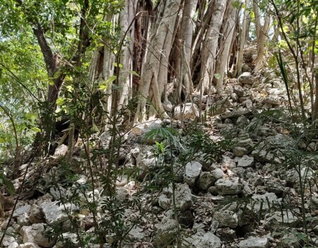 wta_752_IMG_20250321_120806531_HDR