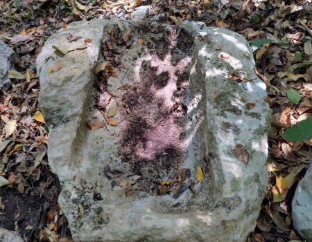 wta_752_IMG_20250321_121019262_HDR (2)