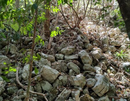 wta_752_IMG_20250321_121104159_HDR (1)