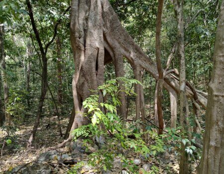 wta_752_IMG_20250321_122406258_HDR (1)