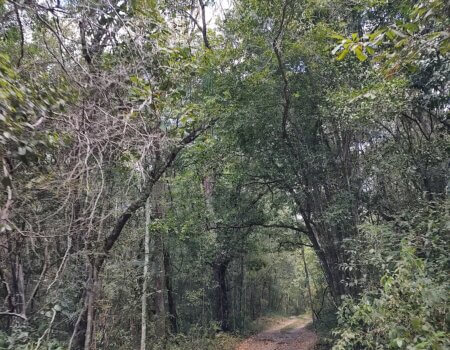 wta_752_IMG_20250321_123404639_HDR (2)