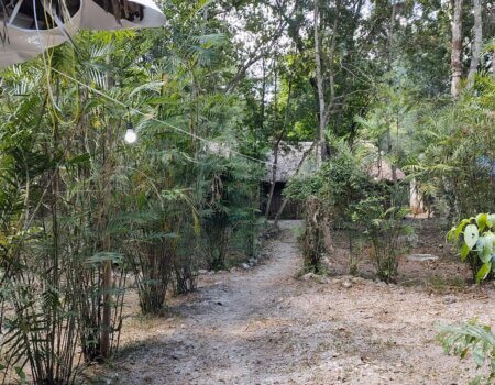 wta_752_IMG_20250321_133143202_HDR (1)