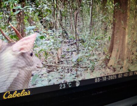 wta_752_IMG_20250321_213633132_HDR