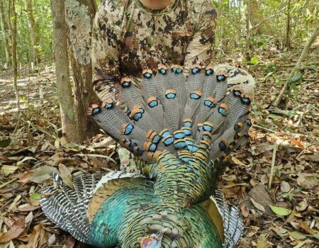 wta_752_IMG_3224 (1)