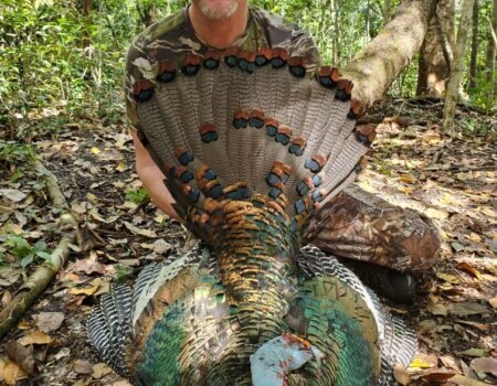 wta_752_Resized_20220321_101353