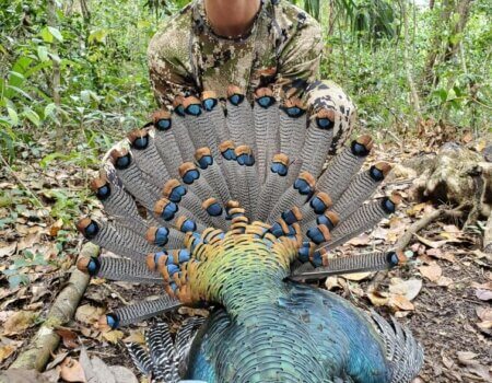 wta_752_Resized_20220321_111208