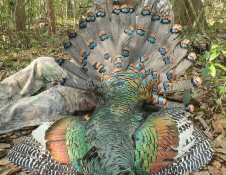 wta_752_Resized_20220411_085106