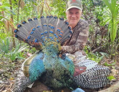 wta_752_image000000 (12)