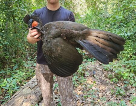 wta_752_image000000 (5)