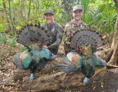 wta_752_image000000 (9)