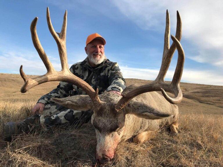 South Dakota Mule Deer Or Whitetail Deer