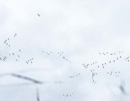 wta_769_22_Sask_Lifestyle_DSC04231