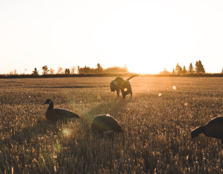 wta_769_22_Sask_Lifestyle_DSC04356