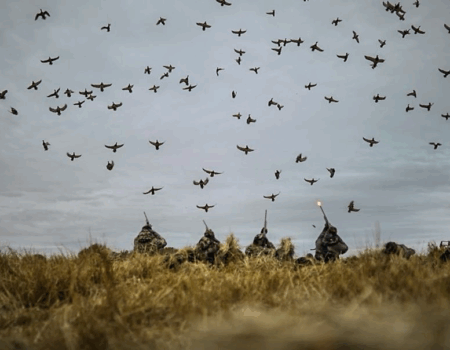 wta_769_Duck Flight