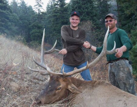 wta_772_4NXZTF_174_Elk(2)