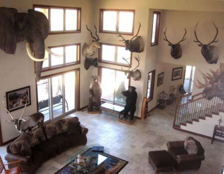 wta_772_59YKNK_174_Elk(12)