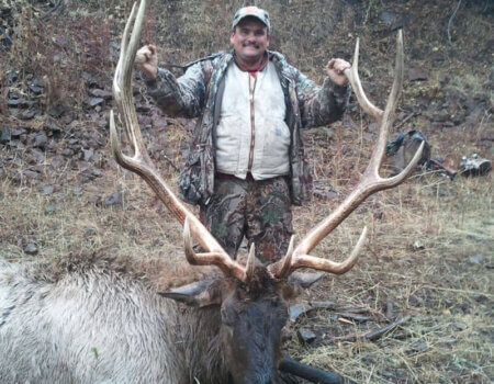 wta_772_8KJPXI_174_Elk(2)