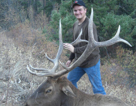 wta_772_U60WK7_174_Elk(3)