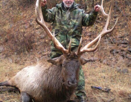 wta_772_WS4H9L_174_Elk(3)