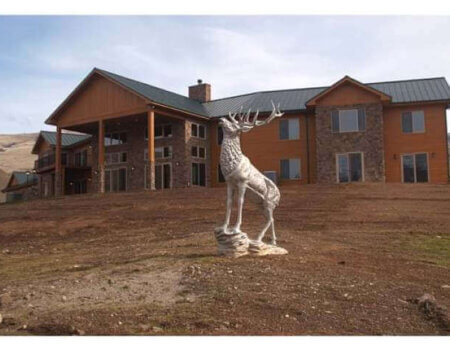 wta_772_Y5CTRC_174_Elk(8)