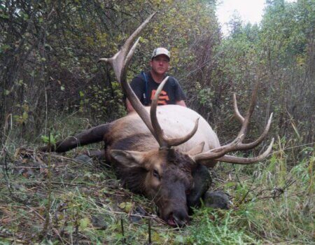 wta_772_YK3DYU_174_Elk(4)