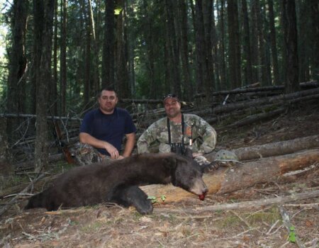 wta_775_7I6X87_174_Bear(1)