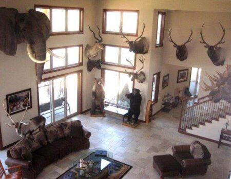 wta_775_HYI0RF_elephantgreatroomlodge