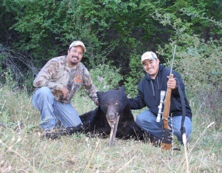 wta_775_QJD1IH_big-black-bear-idaho-2