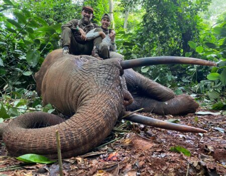 wta_786_0c9bbef4-cb07-4c0a-ace0-31225a1489de