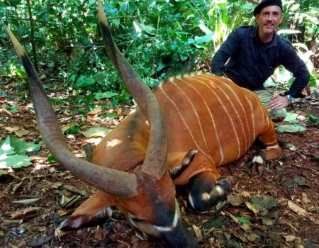 wta_786_14a58501-4870-4e38-80ee-ca48d8d177c5