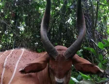 wta_786_187c20ab-23a9-49ef-b91e-cb175c1a2978