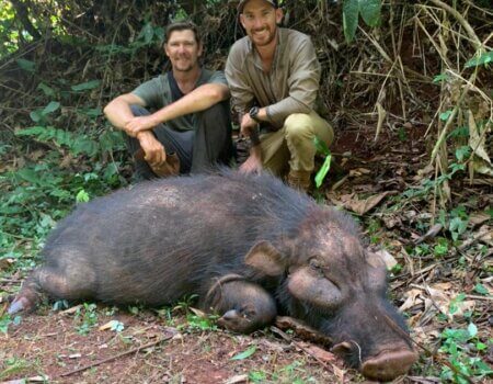 wta_786_41195db4-7040-42fb-9abc-3a54a94c7850