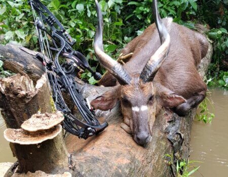 wta_786_5c5fadd9-592e-4196-9b0e-47976364acff - copia