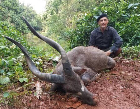 wta_786_8d5723c6-777b-465a-994d-19913184af5f