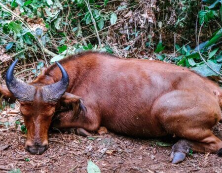 wta_786_8e96142c-2dc9-4860-99bf-d06ce96637cb