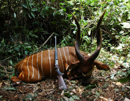 wta_786_M8IBKW_Garzoz10