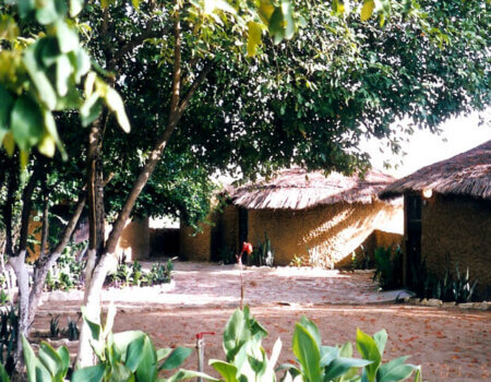 wta_786_QGN7SH_MOldiri