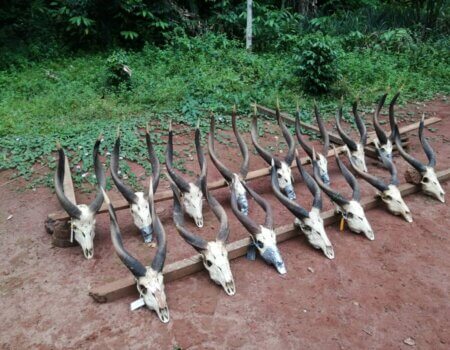 wta_786_b6923d84-26e3-409b-9213-4b78557ad0ee