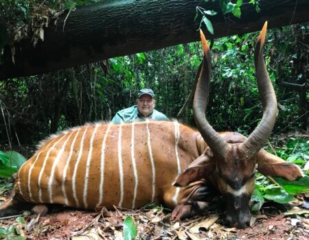 wta_786_bonog - copia