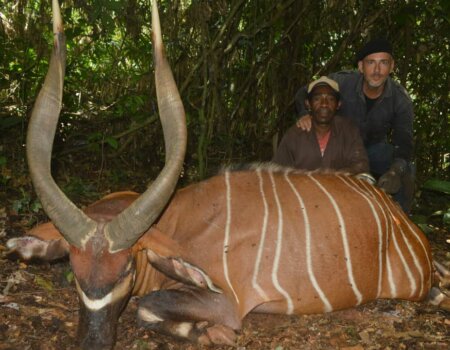 wta_786_cf1bc93e-f95d-4a71-9775-ae1805de9b64