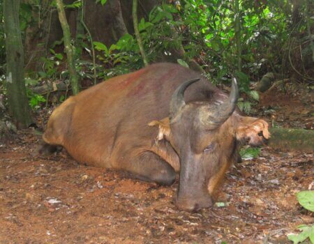 wta_786_e33236d5-e378-44b6-a434-cafa3387d0e8