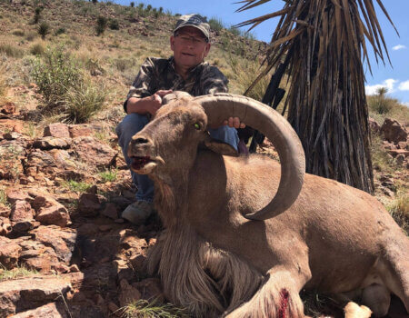 wta_795_0VPNR1_JamesGlosson