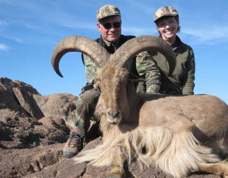 wta_795_25W73J_078-aoudad-12