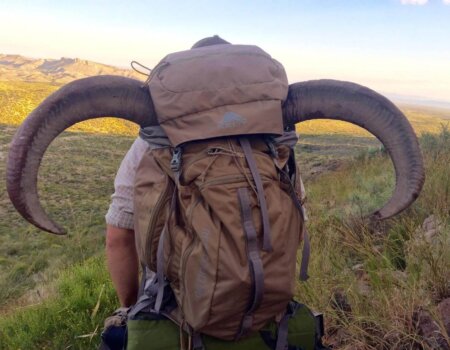 wta_795_7K9NZJ_FullSizeRender_4