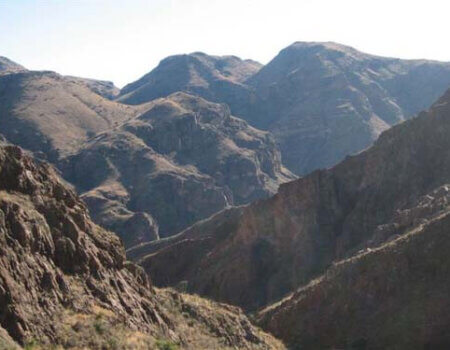 wta_795_ANQRU7_078-aoudad-45