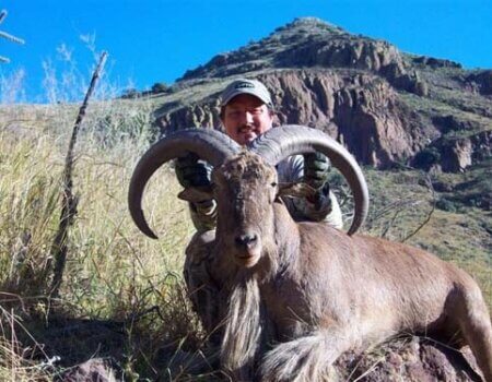 wta_795_DM3F04_078-aoudad-17