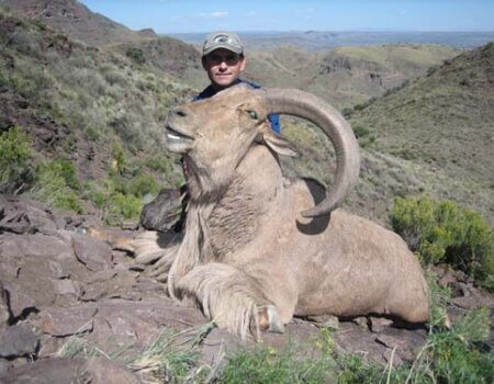 wta_795_LJJ1H1_078-aoudad-26
